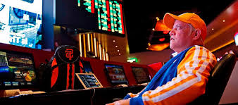 Онлайн казино Vulkan Deluxe Casino